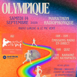 affiche flegme olympique V2